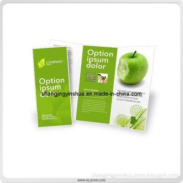 Company Intruduction Video Promotion Booklets (PB007)